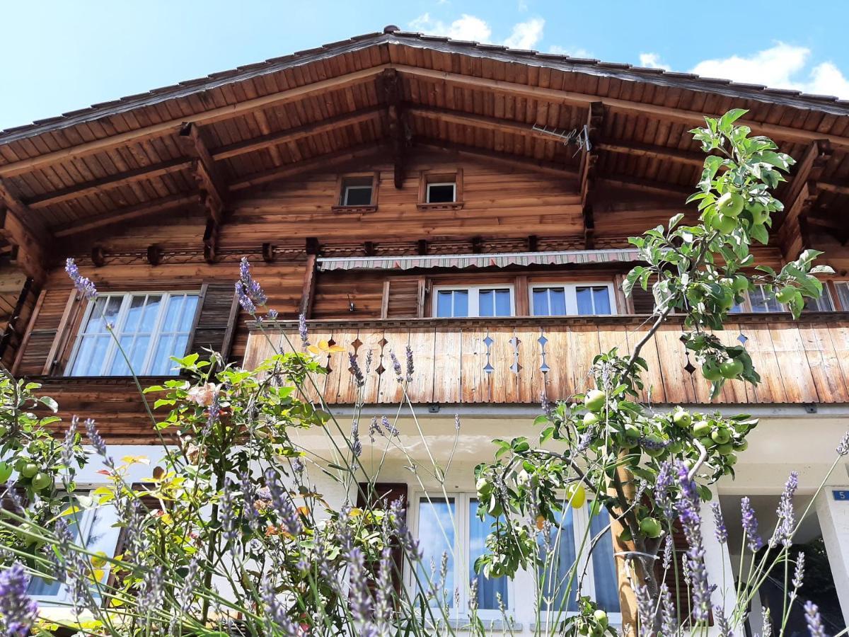 Cozy Chalet By Interlaken. Parking Ringgenberg Exterior photo
